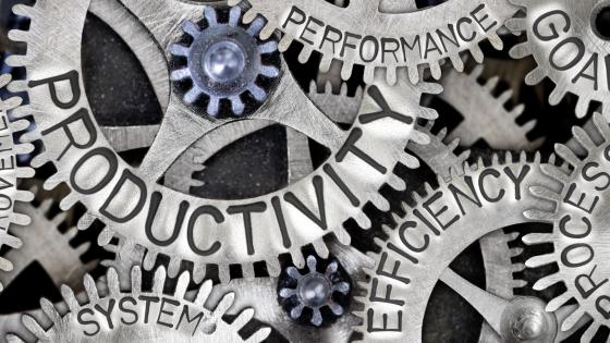 Productivity cogs